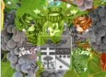 Perelli-Minetti logo