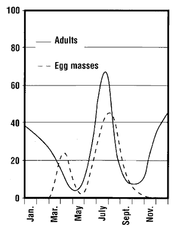 Lifecycle