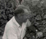 olmo in the field