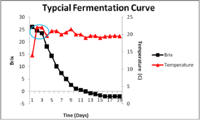 typical fermentation curve