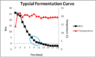 typical fermentation curve