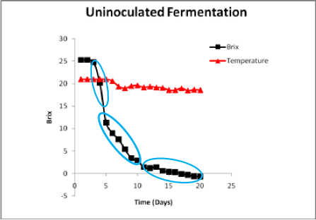 typical fermentation curve