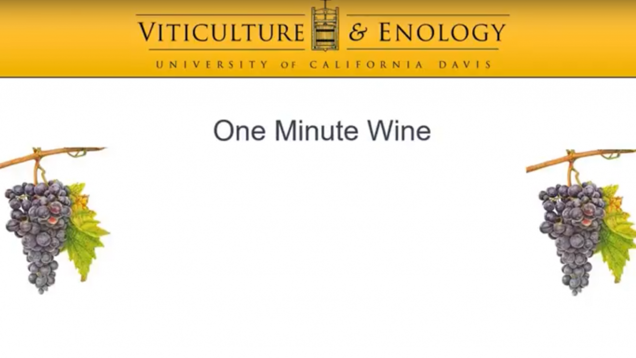 One Minute Wine Poster