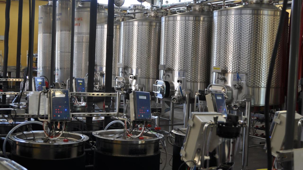 Winery