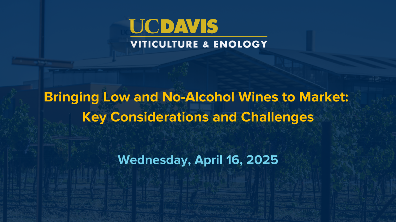 April, 16 2025 - Bringing Low and No-Alcohol Wines to Market