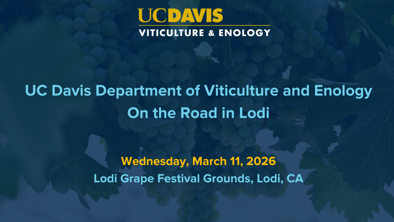 On the Road in Lodi