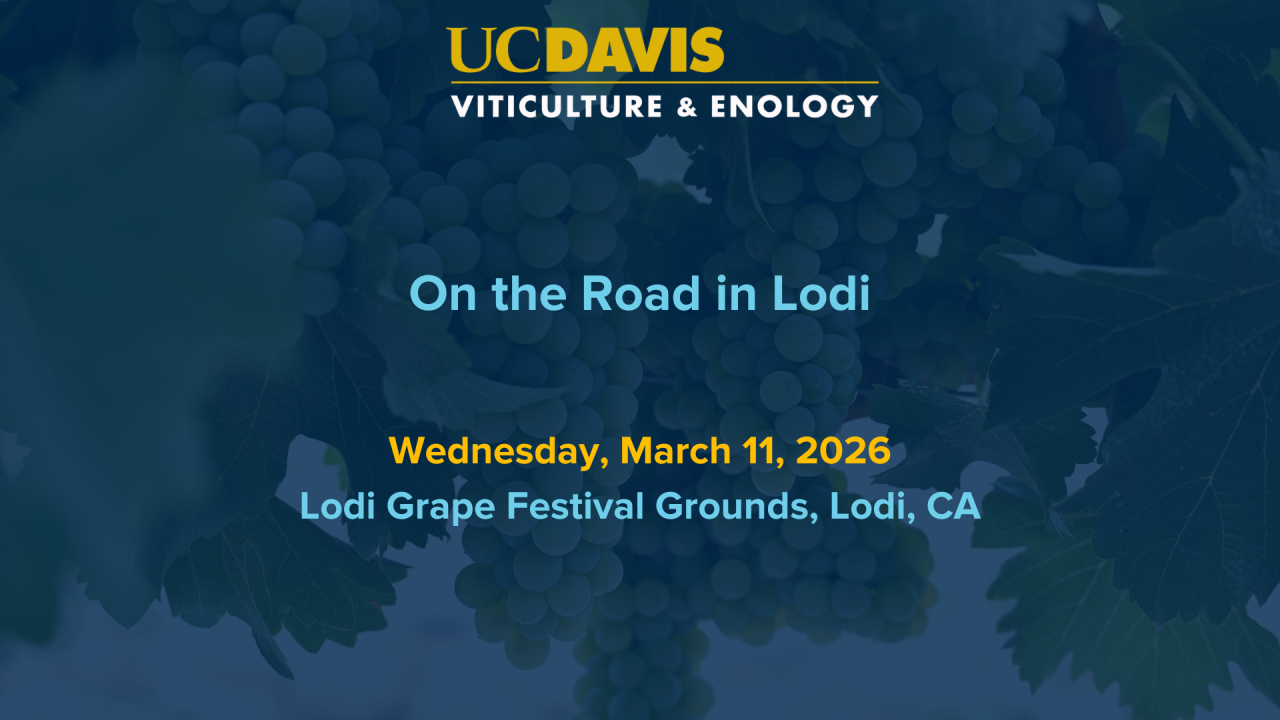 On the Road in Lodi