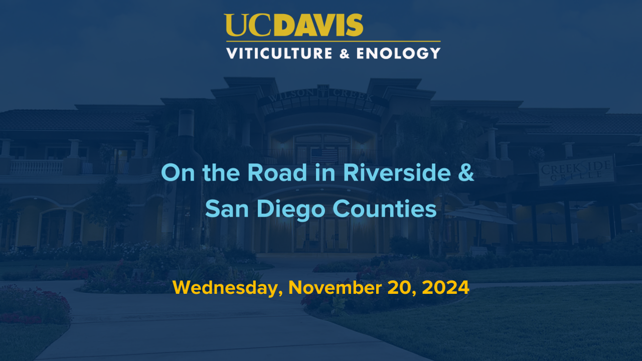 On the Road in Riverside & San Diego Counties, November 20, 2024