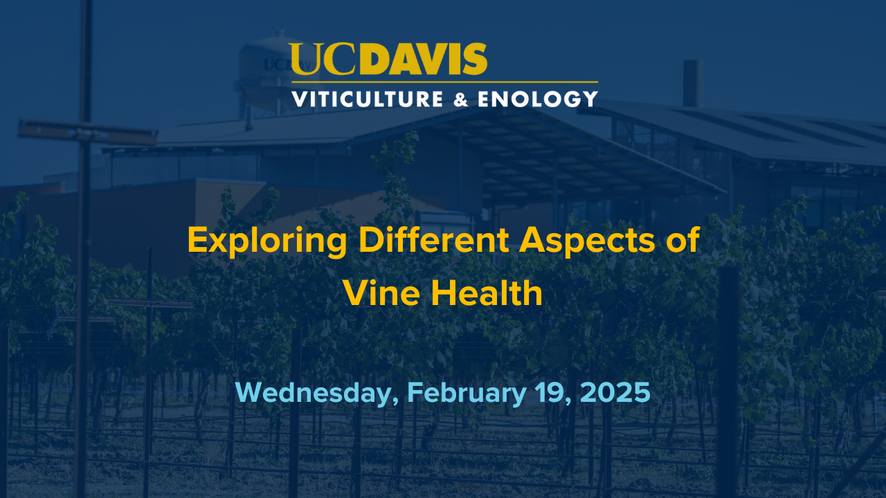 Vine Health February 19, 2025