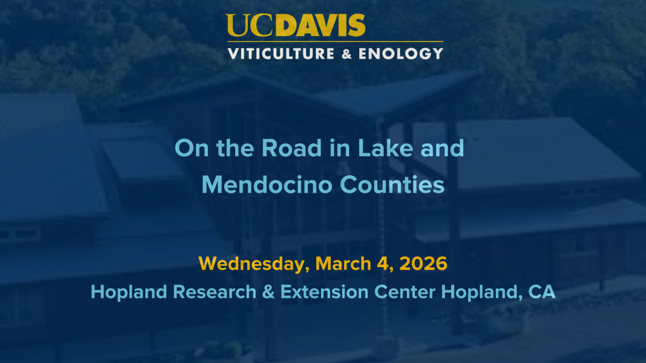 On the Road in Mendocino & Lake Counties
