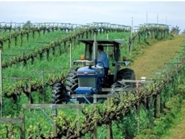 Tractor on the field