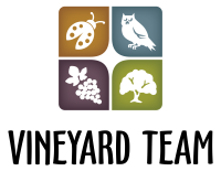 Vineyard Team logo