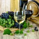 Wine Glasses
