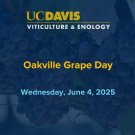 Oakville Grape Day June 4, 2025